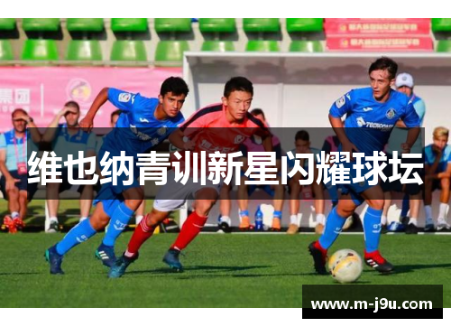 维也纳青训新星闪耀球坛 维也纳青训新星闪耀球坛