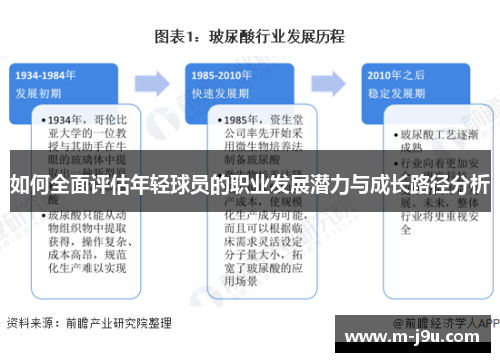 如何全面评估年轻球员的职业发展潜力与成长路径分析 如何全面评估年轻球员的职业发展潜力与成长路径分析