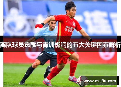 离队球员贡献与青训影响的五大关键因素解析