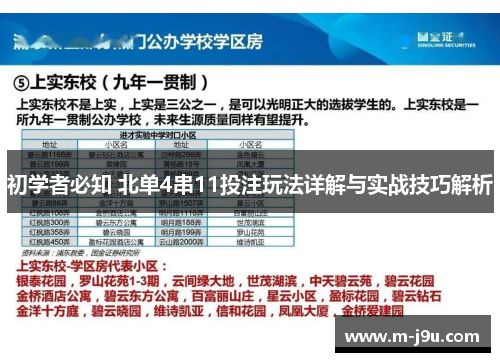 初学者必知 北单4串11投注玩法详解与实战技巧解析