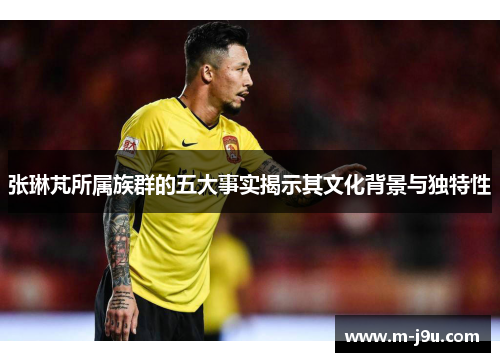 张琳芃所属族群的五大事实揭示其文化背景与独特性