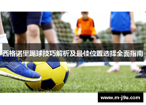 西格诺里踢球技巧解析及最佳位置选择全面指南 西格诺里踢球技巧解析及最佳位置选择全面指南