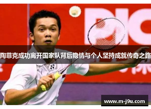 陶菲克成功离开国家队背后隐情与个人坚持成就传奇之路