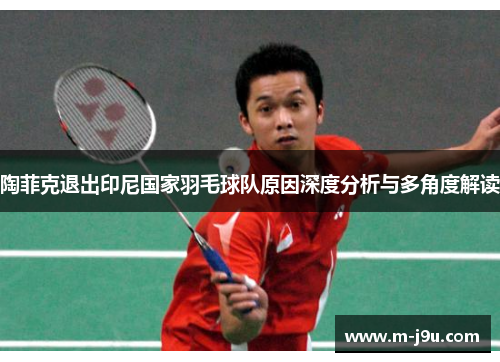 陶菲克退出印尼国家羽毛球队原因深度分析与多角度解读 陶菲克退出印尼国家羽毛球队原因深度分析与多角度解读
