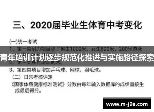 青年培训计划逐步规范化推进与实施路径探索 青年培训计划逐步规范化推进与实施路径探索