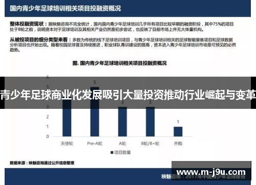 青少年足球商业化发展吸引大量投资推动行业崛起与变革