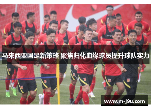 马来西亚国足新策略 聚焦归化血缘球员提升球队实力