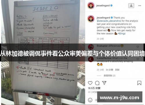 从林加德被调侃事件看公众审美偏差与个体价值认同困境