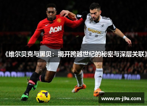 《维尔贝克与黑贝：揭开跨越世纪的秘密与深层关联》