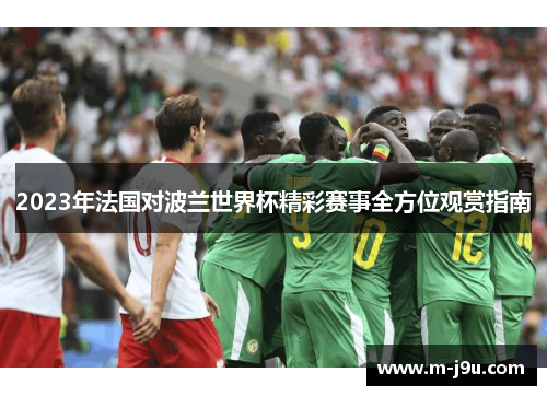 2023年法国对波兰世界杯精彩赛事全方位观赏指南