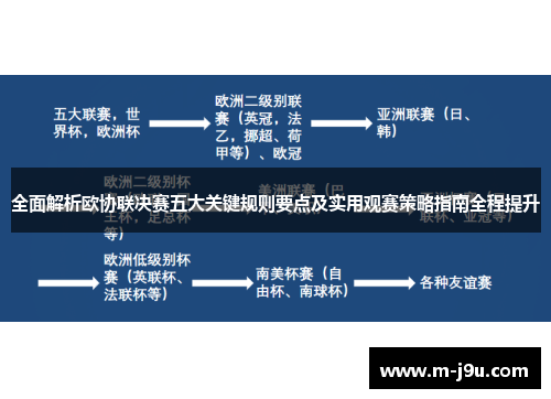 全面解析欧协联决赛五大关键规则要点及实用观赛策略指南全程提升