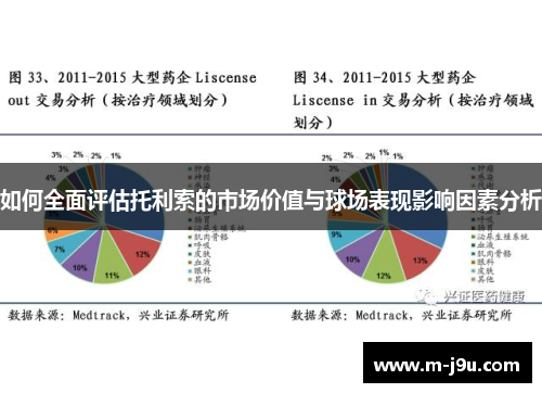 如何全面评估托利索的市场价值与球场表现影响因素分析