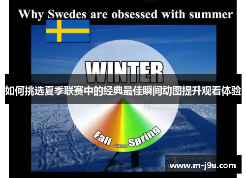 如何挑选夏季联赛中的经典最佳瞬间动图提升观看体验