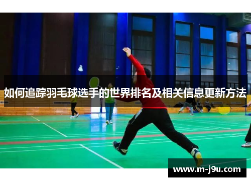 如何追踪羽毛球选手的世界排名及相关信息更新方法