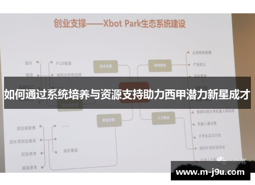 如何通过系统培养与资源支持助力西甲潜力新星成才
