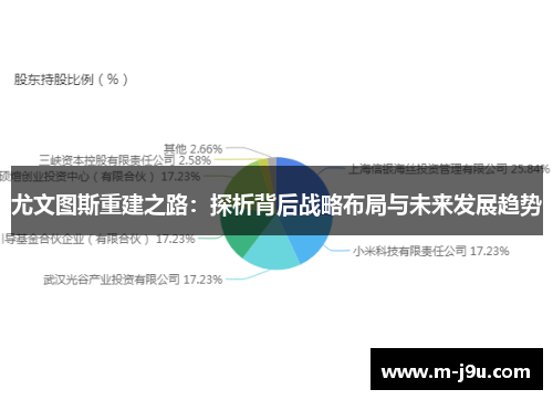 尤文图斯重建之路：探析背后战略布局与未来发展趋势