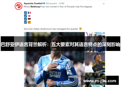 巴舒亚伊语言背景解析:五大要素对其语言特点的深刻影响 巴舒亚伊语言背景解析:五大要素对其语言特点的深刻影响